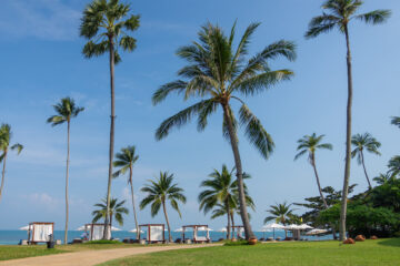 Koh Samui’s Hidden Haven